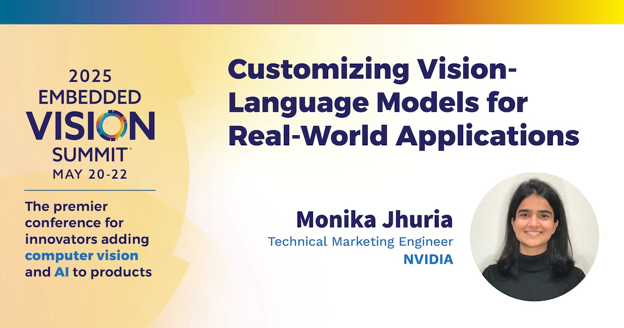 NVIDIA - Customizing Vision-language Models for Real-world Applications