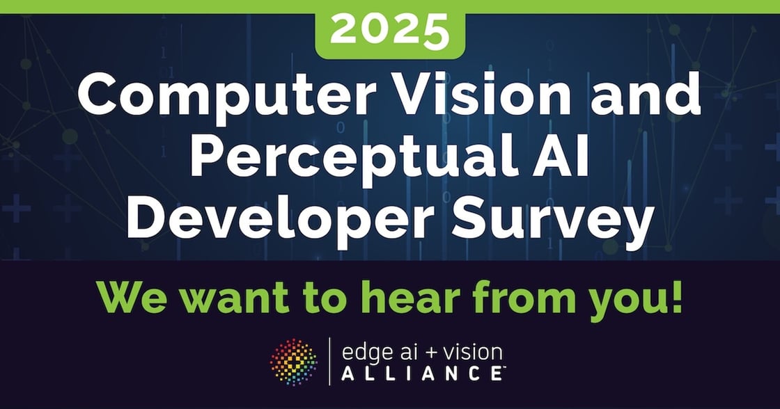 Computer Vision and Perceptual AI Developer Survey
